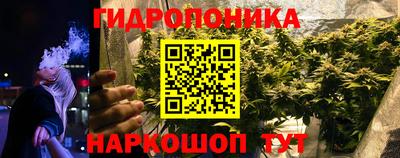 спиды Заволжье