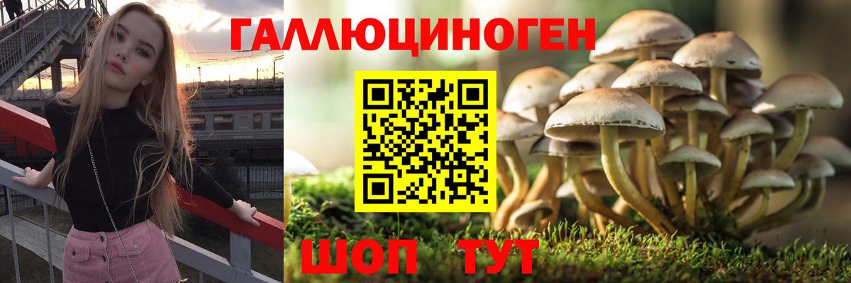 продажа наркотиков  Вход с VPN  Лянтор  Псилоцибиновые грибы ЛСД 